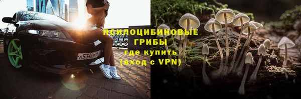 шишки Абдулино