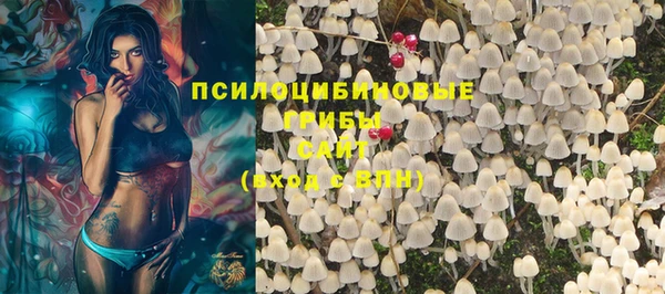 индика Армянск