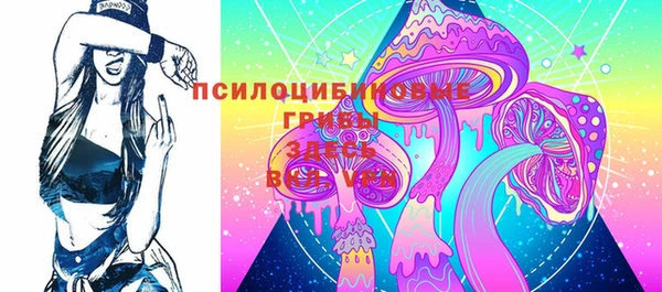 стафф Алзамай