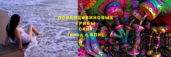 стафф Алзамай