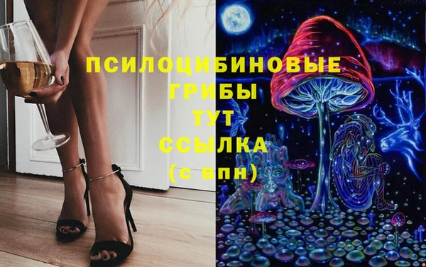 стафф Алзамай
