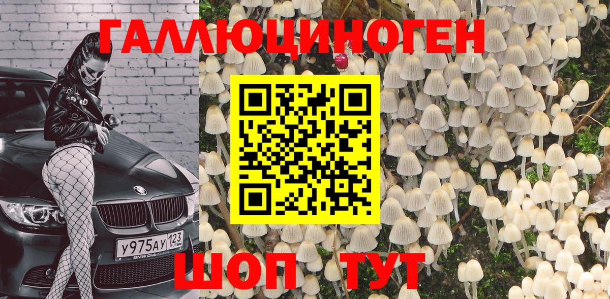 Галлюциногенные грибы Psilocybe  Вход с VPN  как найти наркотики  Ярославль  Галлюциногенные грибы MAGIC MUSHROOMS 