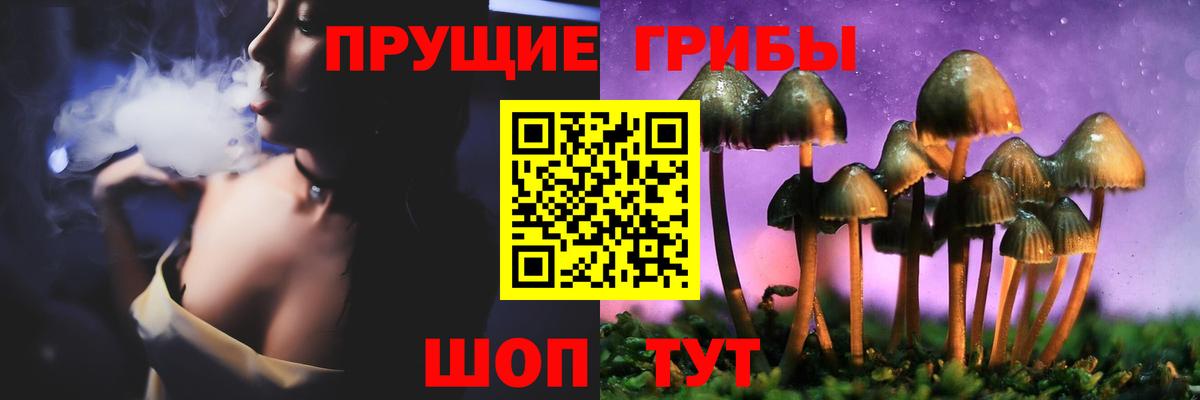 Псилоцибиновые грибы Cubensis Ярославль